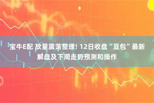 宝牛E配 放量震荡整理! 12日收盘“豆包”最新解盘及下周走势预测和操作