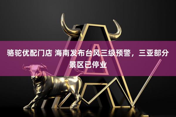 骆驼优配门店 海南发布台风三级预警，三亚部分景区已停业