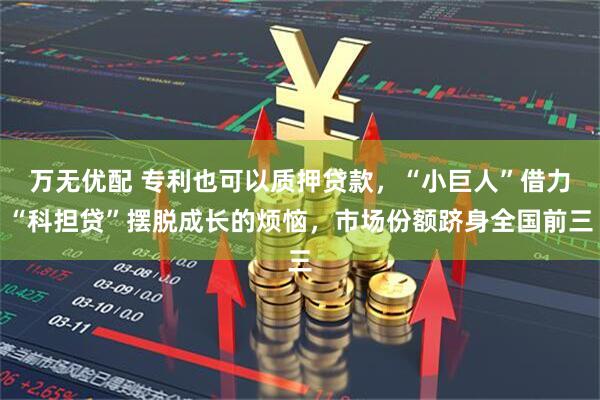 万无优配 专利也可以质押贷款,“小巨人”借力“科担贷”摆脱成长的烦恼,市场份额跻身全国前三
