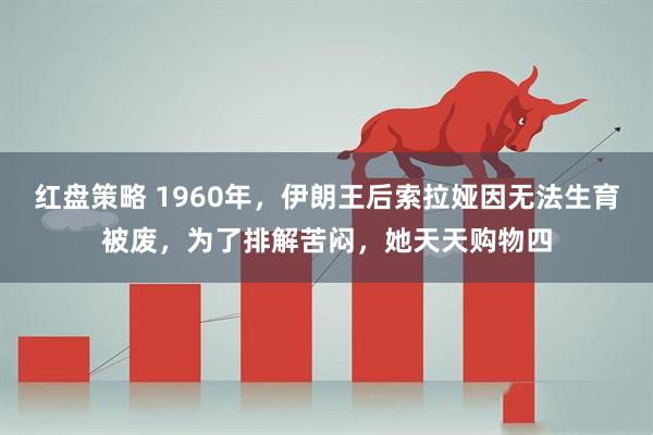 红盘策略 1960年，伊朗王后索拉娅因无法生育被废，为了排解苦闷，她天天购物四